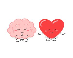 Funny cartoon brain and heart characters meditating. Balance of logic and feeling concept. Vector flat illustration isolated on white background