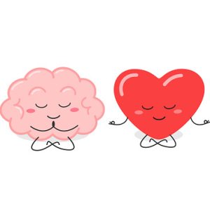 Funny cartoon brain and heart characters meditating. Balance of logic and feeling concept. Vector flat illustration isolated on white background